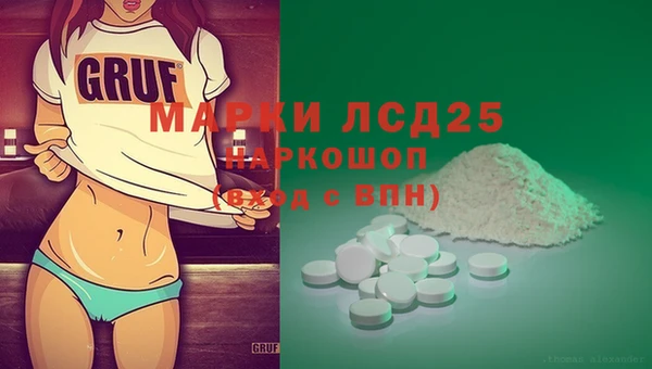 гидра Бородино