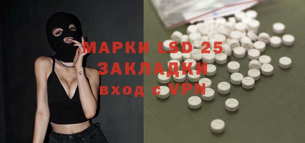 гидра Бородино