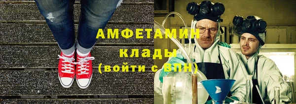 гидра Бородино