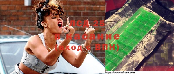 гидра Бородино
