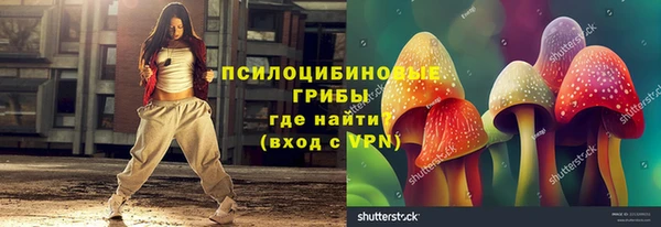гидра Бородино