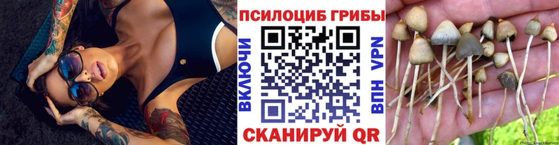 Галлюциногенные грибы GOLDEN TEACHER  Касимов 