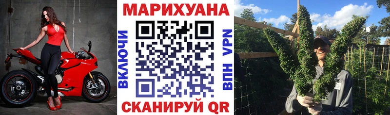 Каннабис сатива  Касимов 